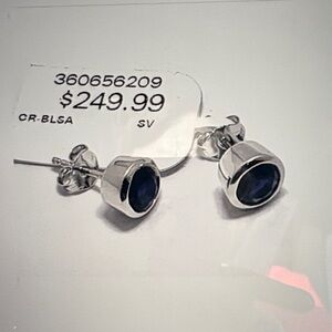 Silver and Blue Stud Earrings